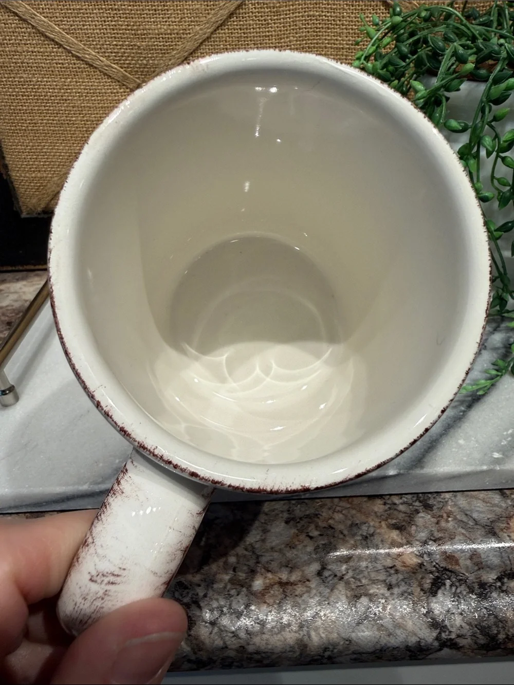 Sur La Table White and Green Oak Acorn Ceramic Mug
